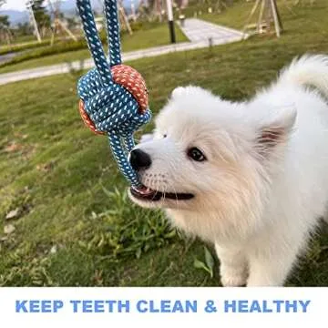 BUIBIIU Dog Toys Small Dog Chew Toys Dog Teething Toys Squeaky Toys Chihuahua Pomeranian Corgi and PoodlesToys 6 PCS