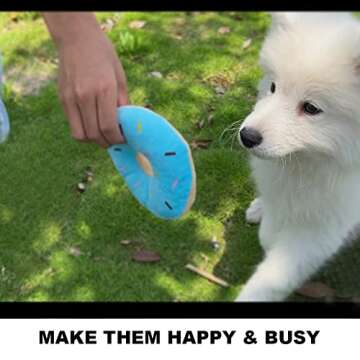 BUIBIIU Dog Toys Small Dog Chew Toys Dog Teething Toys Squeaky Toys Chihuahua Pomeranian Corgi and PoodlesToys 6 PCS