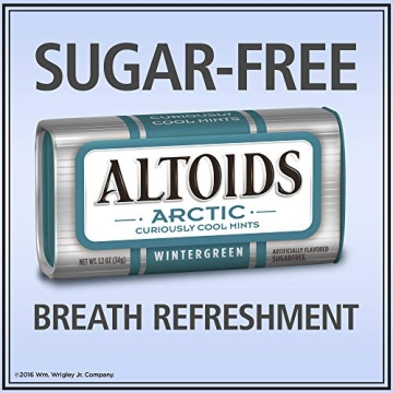 ALTOIDS Arctic Wintergreen Sugar Free Mints Bulk Pack