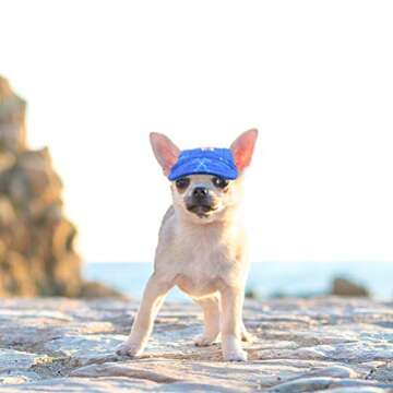 Dog Sun Hat, Pet Baseball Cap, Dogs Sport Hat/Visor Cap with Ear Holes and Chin Strap for Small to Medium Dogs Small, Ocean Wave