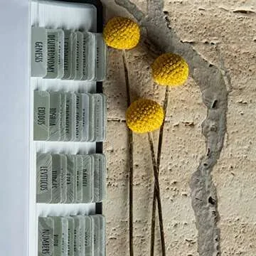 DIVERSEBEE Laminated Bible Tabs - Large Print, Easy Apply