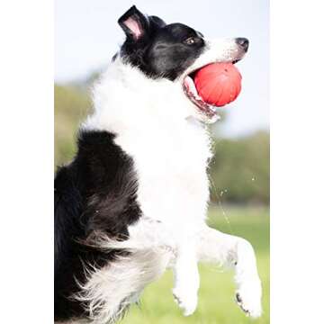 Nerf Dog Rubber Ball Dog Toy with Interactive Squeaker, Lightweight, Durable and Water Resistant, 4 ...