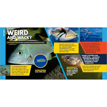 500 Ocean Facts Kids Love - Fascinating Ocean Book