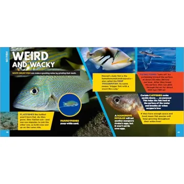 500 Ocean Facts Kids Love - Fascinating Ocean Book