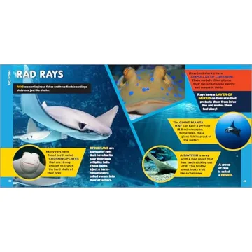 500 Ocean Facts Kids Love - Fascinating Ocean Book