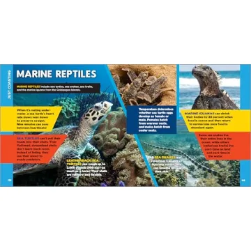 500 Ocean Facts Kids Love - Fascinating Ocean Book