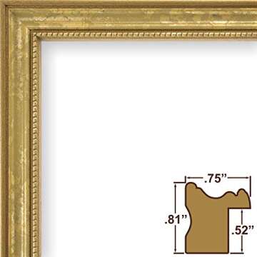 Craig Frames 314GD 16 x 20 Inch Picture Frame, Ornate Gold, Set of 2