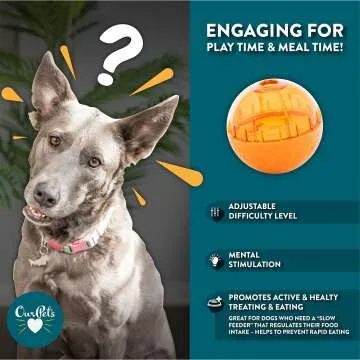 OurPets IQ Treat Ball - Interactive Dog Puzzle Toy