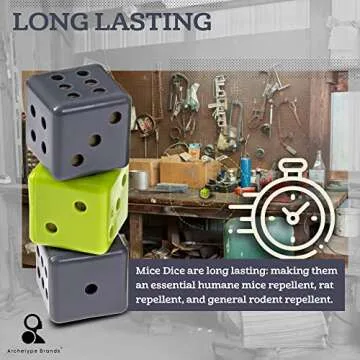 Peppermint Oil for Mice - Mice Dice Mouse Solution for Home and Outdoor - 6 Pack