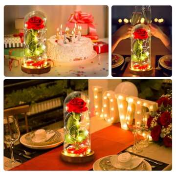 Valentines Gifts for Her Beauty and The Beast Rose, Red Rose in Glass Dome with Lights, Valentines F...