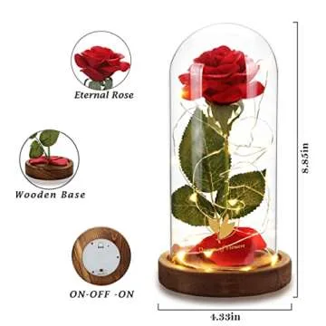 Valentine's Gifts for Her | Beauty and The Beast Rose