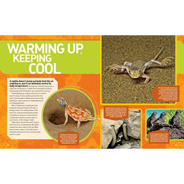 Explore the Ultimate Reptileopedia for Young Nature Lovers