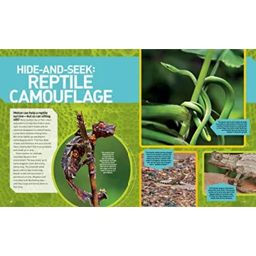 Explore the Ultimate Reptileopedia for Young Nature Lovers