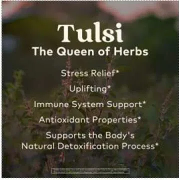 ORGANIC INDIA Tulsi Sleep Herbal Tea - Holy Basil, Ashwagandha, Chamomile, Night Time Tea for Bedtime, Stress Relieving & Relaxing, Immune Support, USDA Certified Organic - 18 Infusion Bags, 3 Pack