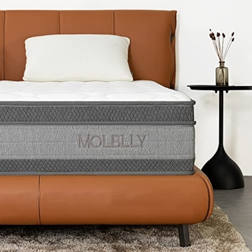 Molblly 12 Inch Gel Memory Foam Queen Mattress in a Box