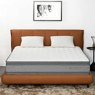 Molblly 12 Inch Gel Memory Foam Queen Mattress in a Box