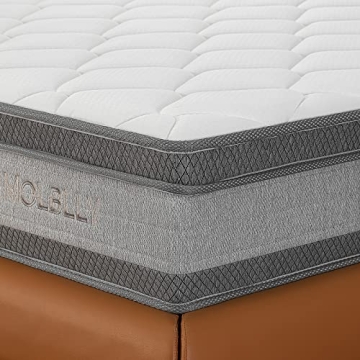 Molblly 12 Inch Gel Memory Foam Queen Mattress in a Box