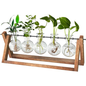 CFMOUR Plant Terrarium with Wooden Stand, Desktop Propagation Stations Glass Air Planter Metal Swive...