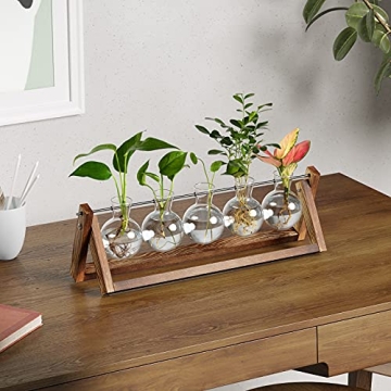 CFMOUR Stylish Plant Terrarium with Wooden Stand