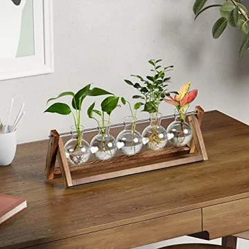 CFMOUR Stylish Plant Terrarium with Wooden Stand