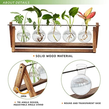 CFMOUR Stylish Plant Terrarium with Wooden Stand