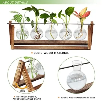 CFMOUR Stylish Plant Terrarium with Wooden Stand