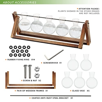 CFMOUR Stylish Plant Terrarium with Wooden Stand