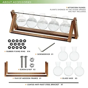 CFMOUR Stylish Plant Terrarium with Wooden Stand