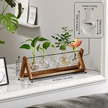 CFMOUR Stylish Plant Terrarium with Wooden Stand