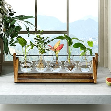 CFMOUR Stylish Plant Terrarium with Wooden Stand