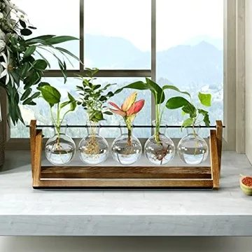 CFMOUR Stylish Plant Terrarium with Wooden Stand