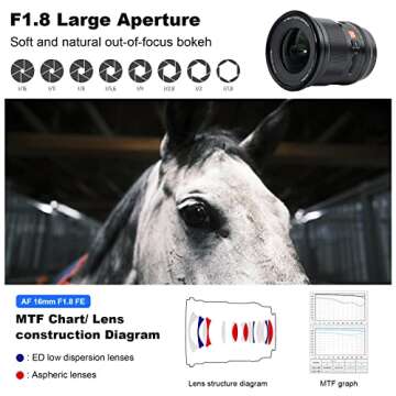 VILTROX 16mm f1.8 F1.8 Autofocus Prime Lens for Sony E Mount Lens,FE Large Aperture Wide-Angle Lens with Built-in LCD Screen Compatible for Sony a7 a7C a7III a7RIII a7RIV a7RV a9 a6100