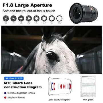 VILTROX 16mm f1.8 F1.8 Autofocus Prime Lens for Sony E Mount Lens,FE Large Aperture Wide-Angle Lens with Built-in LCD Screen Compatible for Sony a7 a7C a7III a7RIII a7RIV a7RV a9 a6100