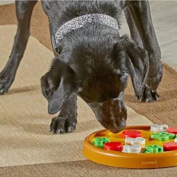 Brightkins Pizza Party Treat Puzzle for Dogs - Fun & Interactive
