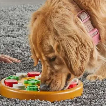 Brightkins Pizza Party Treat Puzzle for Dogs - Fun & Interactive
