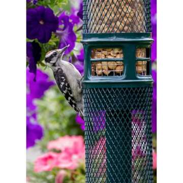 Squirrel Buster Nut Feeder Squirrel-Proof Bird Feeder for Nuts and Fruit, Two Meshes