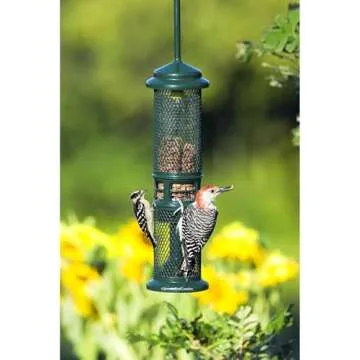 Squirrel Buster Nut Feeder Squirrel-Proof Bird Feeder for Nuts and Fruit, Two Meshes