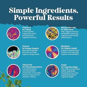 Nootropics Brain Support Supplement - Mental Focus Nootropic Memory Supplement for Brain Health & and Performance Blend, with Energy and Vitamins DMAE Bacopa and Phosphatidylserine Capsule