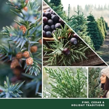 Yankee Candle Balsam & Cedar 22oz Large Jar Quality Candle