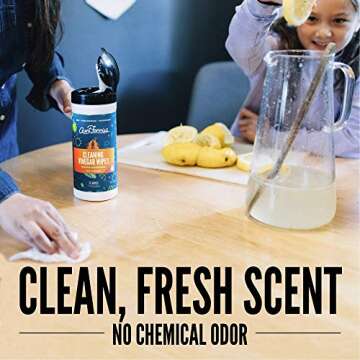Vinegar Cleaning Wipes Variety Pack - Safe & Eco-Friendly