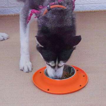 Super Design Single Stainless Steel Bowls in Non-Skid & No Spill Silicone Mat,for Small Dogs or Cats...