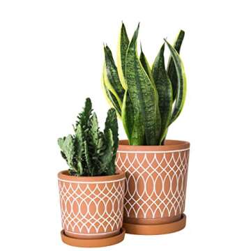 D'vine Dev Set of 2 Terracotta Pots, 4 Inch and 6 Inch, Planter Pots for Plants with Drainage Holes ...
