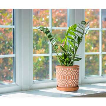 D'vine Dev Set of 2 Terracotta Pots, 4 Inch and 6 Inch, Planter Pots for Plants with Drainage Holes and Saucers, Terracotta/White, 31-958-C-1