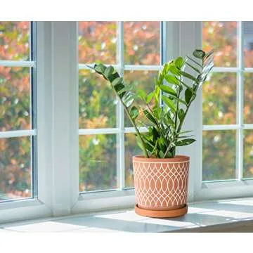 D'vine Dev Set of 2 Terracotta Pots, 4 Inch and 6 Inch, Planter Pots for Plants with Drainage Holes and Saucers, Terracotta/White, 31-958-C-1