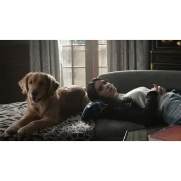 Discover The Mandalorian 4K UHD Steelbook Edition