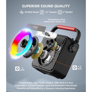 Karaoke Machine with Wireless Mics & Lights