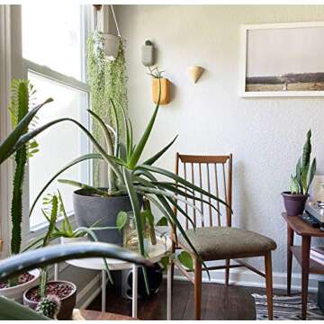 Purzest Ceramic Hanging Planters Geometric Wall Decor Container Flower Pot Holder Great for Succulent Plants, Air Plant, Mini Cactus, Faux Plants (Set of 6)