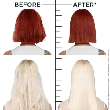 Garnier Fructis Hair Filler Bonding Pre Shampoo Treatment