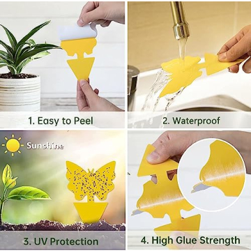 Stingmon 36 Pack Fruit Fly Trap for Indoor Plants