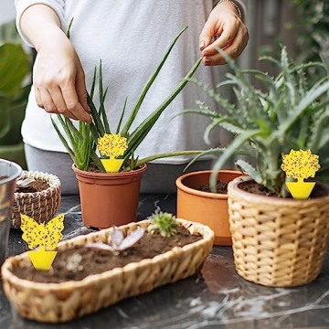 Stingmon 36 Pack Fruit Fly Trap for Indoor Plants